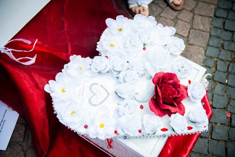 Traumboten - weiße Tauben für Hochzeiten, Hochzeitstauben · Ballons Lampertheim, Logo