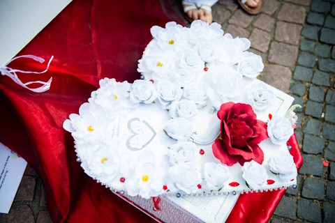 Traumboten - weiße Tauben für Hochzeiten, Hochzeitstauben · Ballons Lampertheim, Logo Traumboten - weiße Tauben für Hochzeiten, Hochzeitstauben · Ballons Lampertheim, Logo